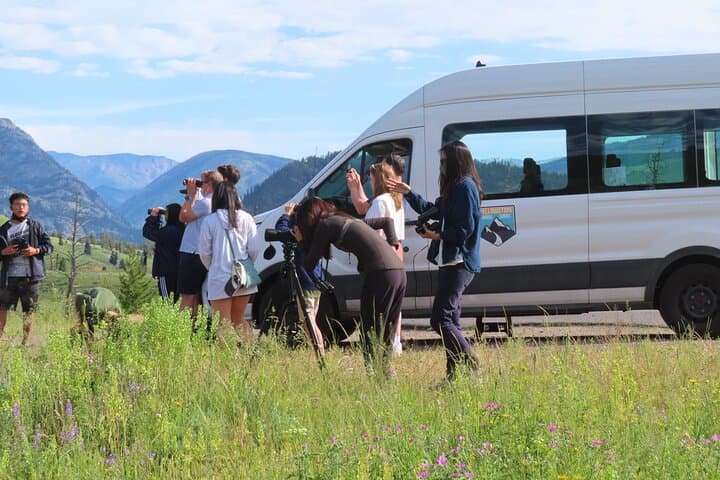 Upper Loop Wildlife Van Tour: Lamar Valley, Mount Washburn & Mammoth Hot Springs photo 2