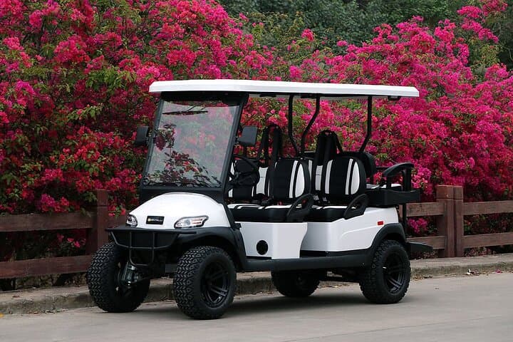 Drive Charleston: Multi-Day 6-Passenger LSV Golf Cart Rental for Barrier-Island Exploration photo 6