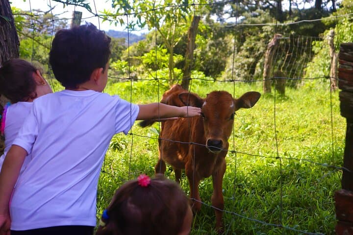 Finca El Paraiso: Hands-On Farm Cheese Tour Near Monteverde photo 4