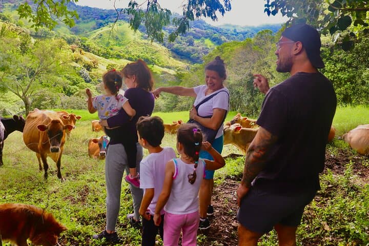 Finca El Paraiso: Hands-On Farm Cheese Tour Near Monteverde photo 6