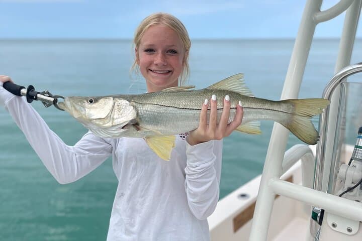 Private Inshore Fishing in Sarasota: 4-Hour Trip for Snook, Redfish & Tarpon photo 1