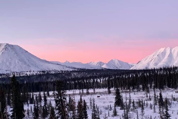 How to Stay Warm in Fairbanks: Extreme Cold Clothing Rental Guide photo 4