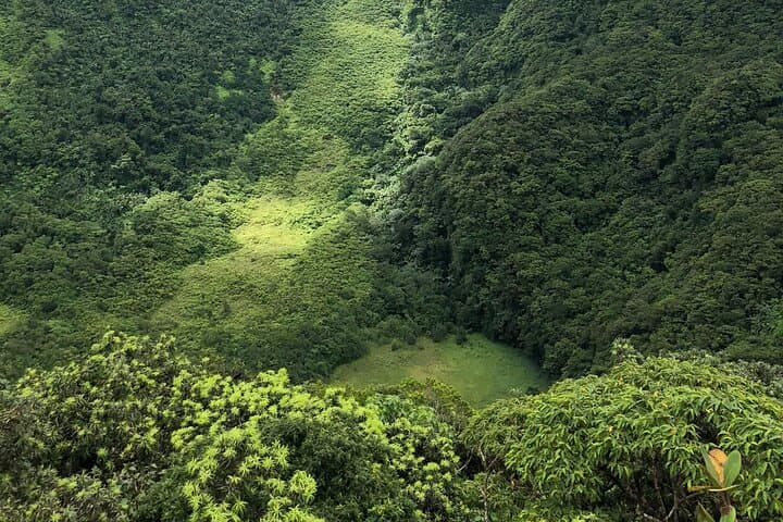 Mount Liamuiga Volcano Hike: Summit Views & Rainforest Trails on St Kitts photo 6
