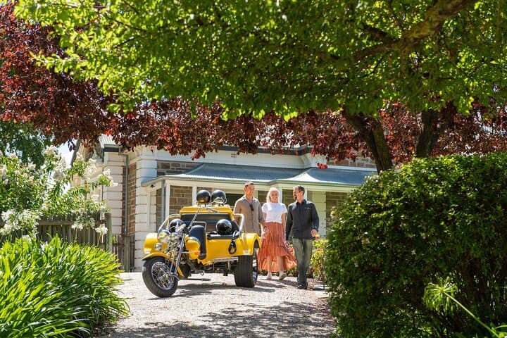 Barossa Trike Tour: Private 90-Minute Sightseeing through Seppeltsfield & Tanunda