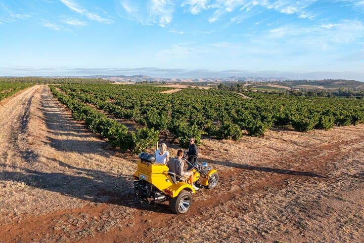 Barossa Trike Tour: Private 90-Minute Sightseeing through Seppeltsfield & Tanunda photo 2