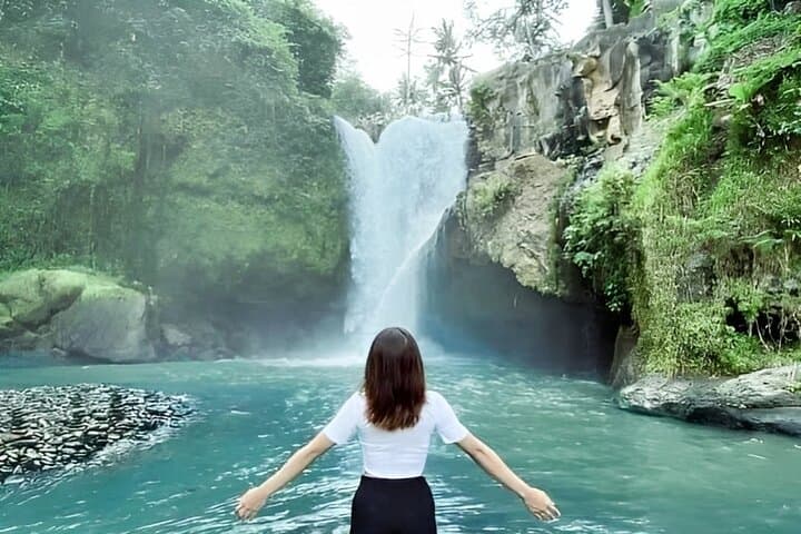 Best of Bali Shore Excursion: Tegalalang, Monkey Forest & Waterfall Day Tour photo 3