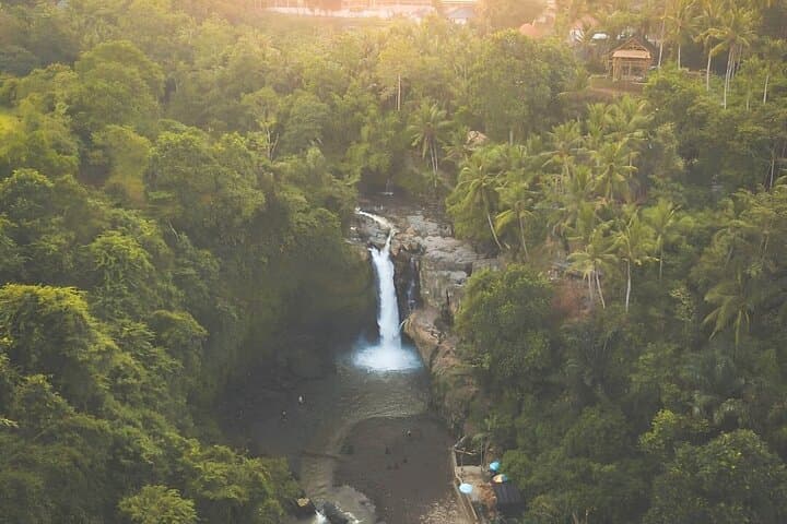 Best of Bali Shore Excursion: Tegalalang, Monkey Forest & Waterfall Day Tour photo 4