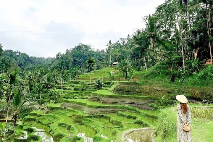 Ubud Full-Day Highlights: Monkey Forest, Tegalalang & Tegenungan Waterfall photo 3