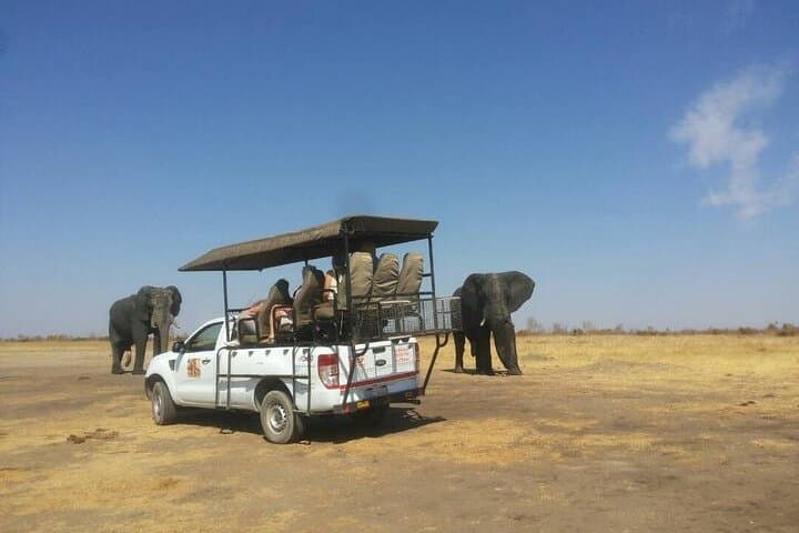 Hwange Park Big 5 Game Drive — Full-Day Safari in Zimbabwe photo 2