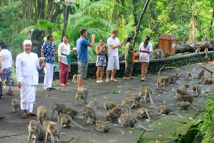 Full-Day Ubud Tour: Monkey Forest, Tegalalang Rice Terraces & Tegenungan Waterfall photo 4