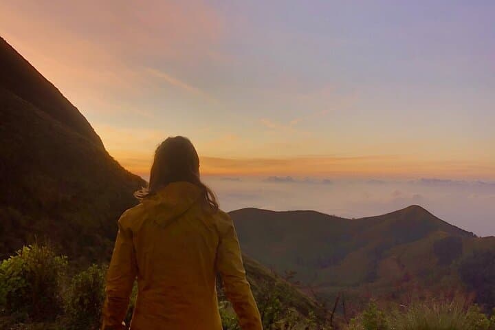 Meesapulimala Overnight Trek & Munnar Sightseeing: Tea, Tents, and Mountain Air