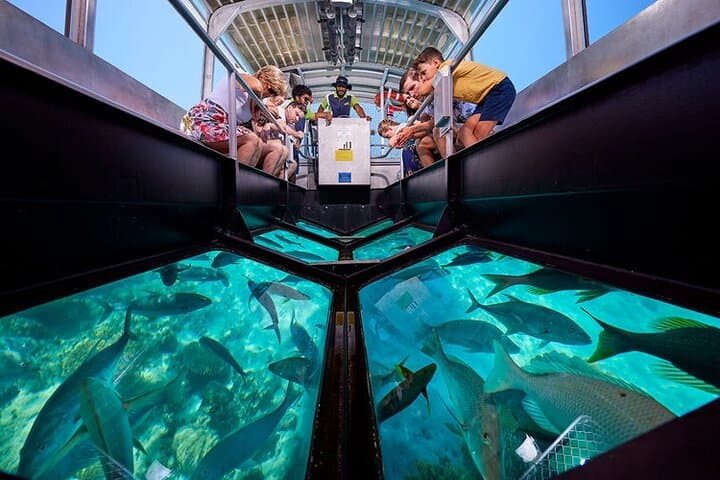 Semi-Submarine Hurghada: Underwater Red Sea Coral Viewing Cruise
