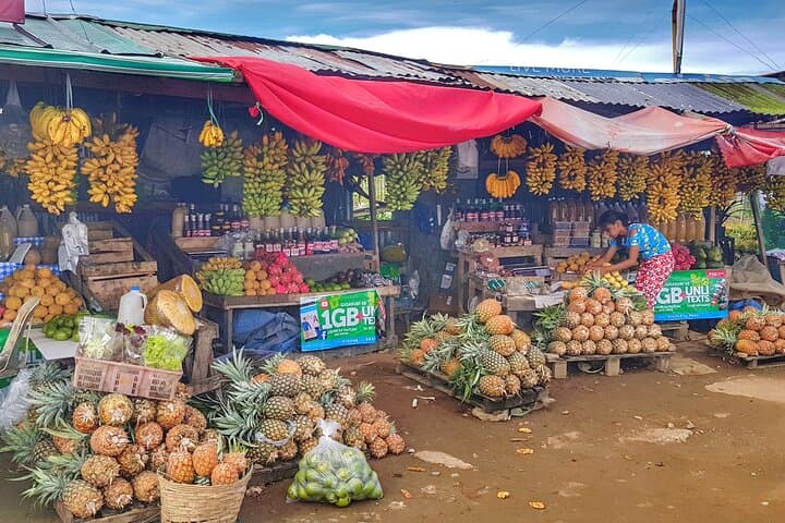 Tagaytay Half-Day Countryside Tour: Taal Volcano Views, Markets & Local Eats photo 3