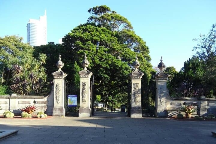 Sydney Half-Day Private Walking Tour with a Local Host photo 6