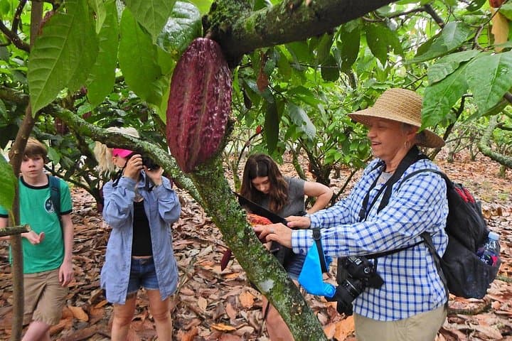 Cocoa and Cloud Forest Private Day Tour from Guayaquil — Bucay Waterfalls & Cacao Farm Experience