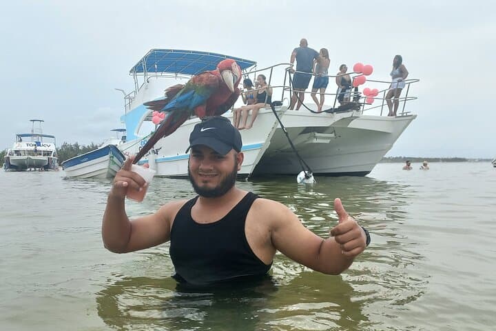 Punta Cana Party Catamaran: Snorkel, Open Bar & Natural Pool Adventure photo 4