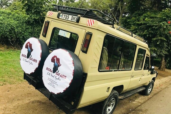 3-Day Tarangire, Lake Manyara & Ngorongoro Safari: Big Five in Budget-Friendly Style photo 2