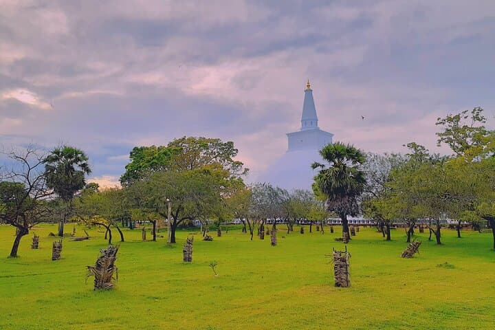 4-Day Sigiriya, Anuradhapura & Polonnaruwa Tour with Minneriya Safari photo 5