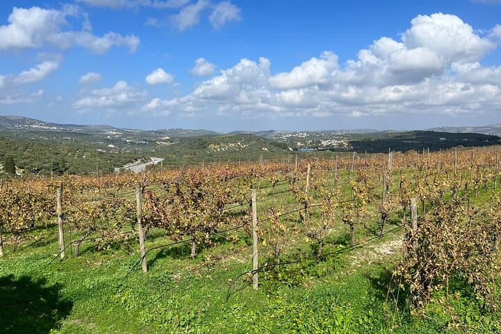 Private Wine Tour in Dafnes Valley — Tastings & Traditional Cretan Lunch photo 2