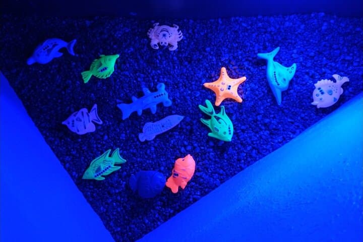 Puzzle Pirates Kids Escape Room Denver: Private Pirate Puzzle Adventure for Grades 1–5 photo 4