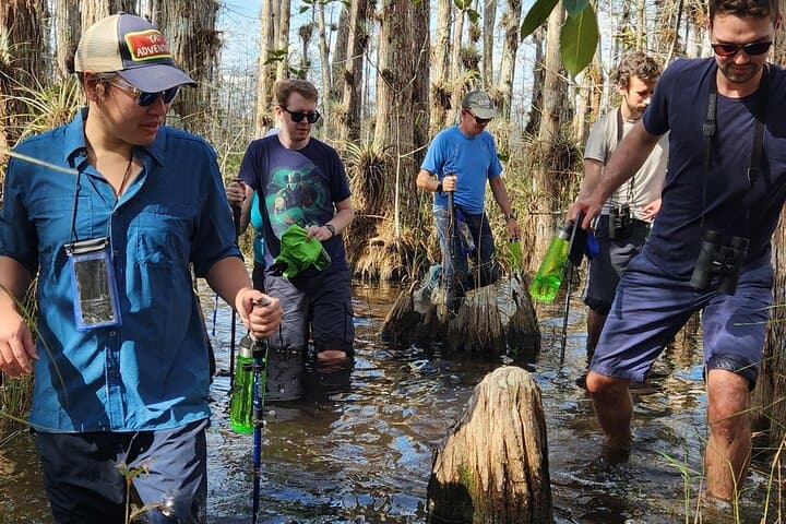 Everglades Eco Adventure: Biologist-Guided Wet Walk, 10,000 Islands & Airboat Tours