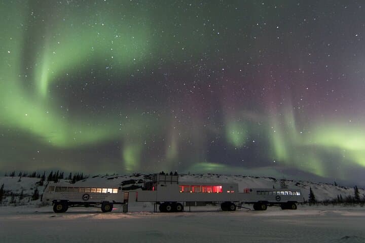 Churchill Aurora Adventure: Northern Lights, Dog Sledding & Tundra Nights photo 4
