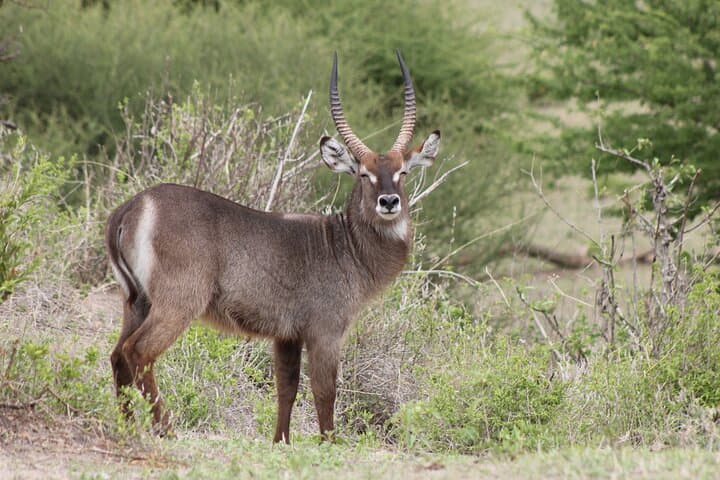 2-Day Tarangire and Ngorongoro Crater Safari photo 2