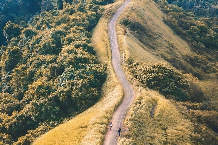 Full-Day Ubud Tour: Monkey Forest, Tegalalang Rice Terraces & Tegenungan Waterfall photo 6