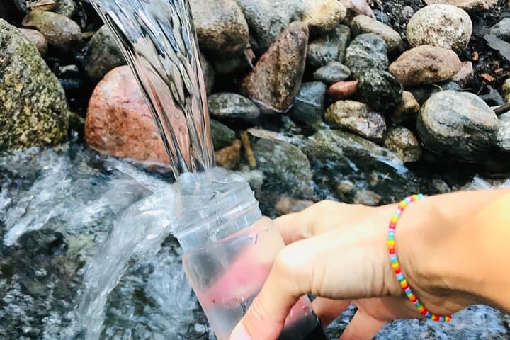 Forest Bathing and Healing Spring Water Near Stockholm