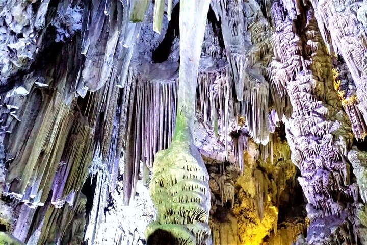 Gibraltar and Marbella Day Trip from Malaga: Rock, Monkeys & Old Town photo 4