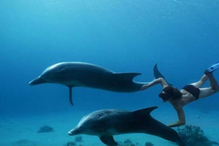 Snorkel Giftun Island: Day Cruise from Hurghada to Red Sea Reefs photo 2