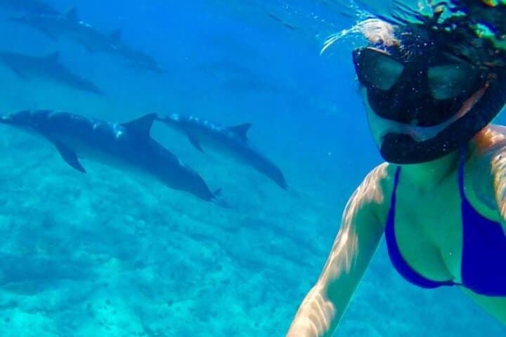 Snorkel Giftun Island: Day Cruise from Hurghada to Red Sea Reefs photo 4