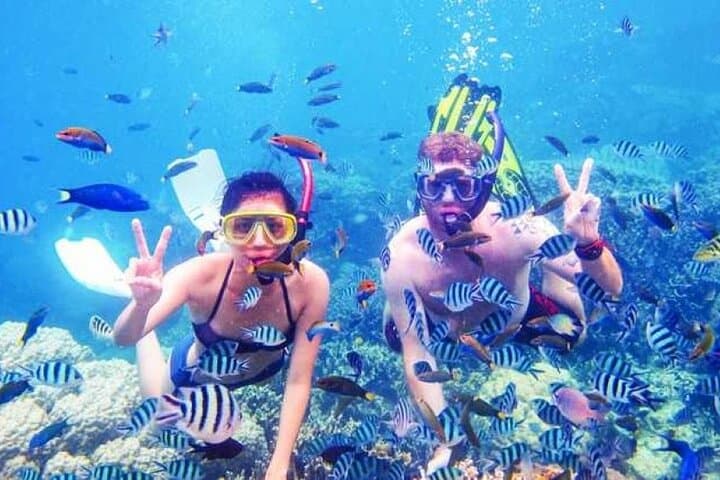 Snorkel Giftun Island: Day Cruise from Hurghada to Red Sea Reefs photo 6