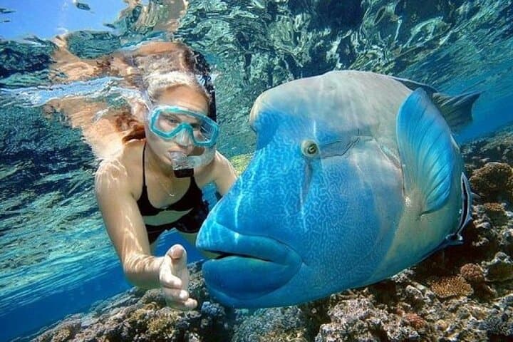 Snorkel Giftun Island: Day Cruise from Hurghada to Red Sea Reefs