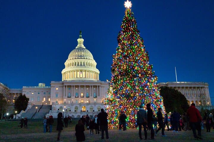 Washington DC Holiday Lights Private Night Bus Tour — Trees, Monuments & Stops