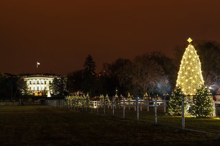 Washington DC Holiday Lights Private Night Bus Tour — Trees, Monuments & Stops photo 3