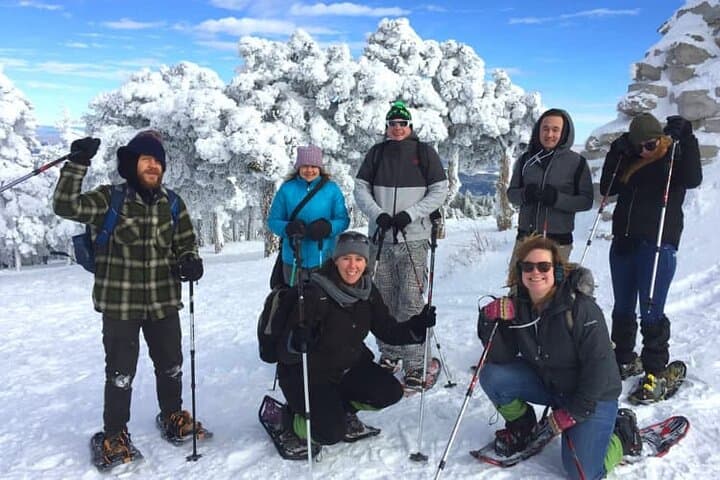 Albuquerque Snowshoe Experience: Sandia Peak Tramway Winter Tour photo 2