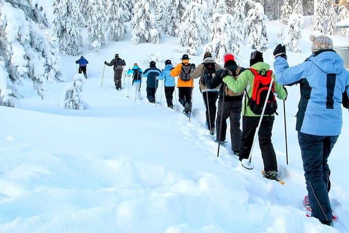 Albuquerque Snowshoe Experience: Sandia Peak Tramway Winter Tour photo 4