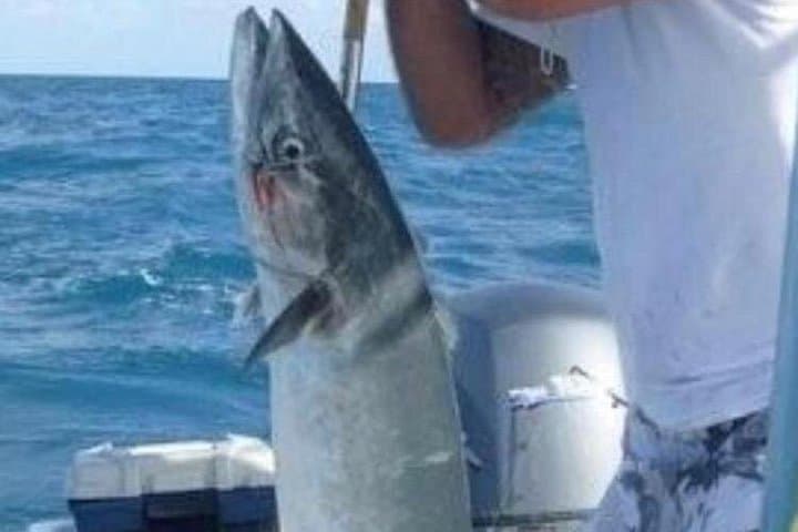 6-Hour Cartagena Fishing Charter — Sailfish, Tuna & Isla Stops photo 5