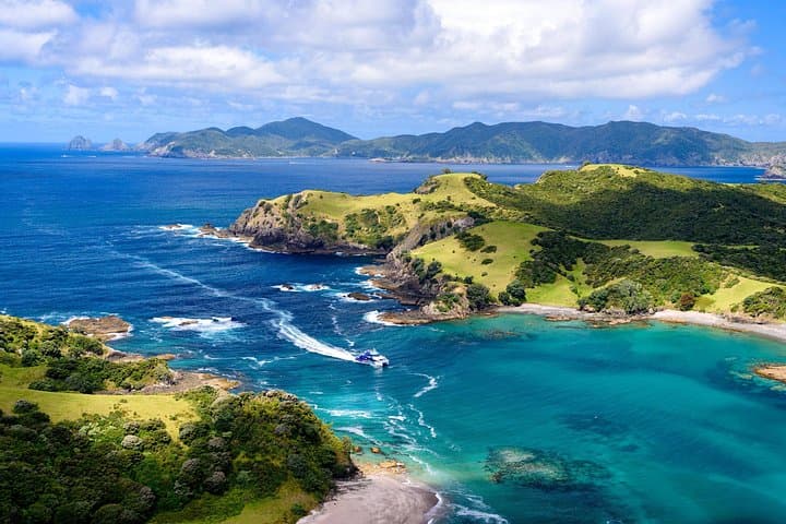Bay of Islands Discovery & Hole in the Rock Cruise from Auckland