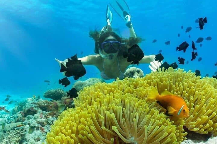 Private Snorkeling at Blue Lagoon Beach, Bali — Coral Gardens & Turtle Encounters photo 1