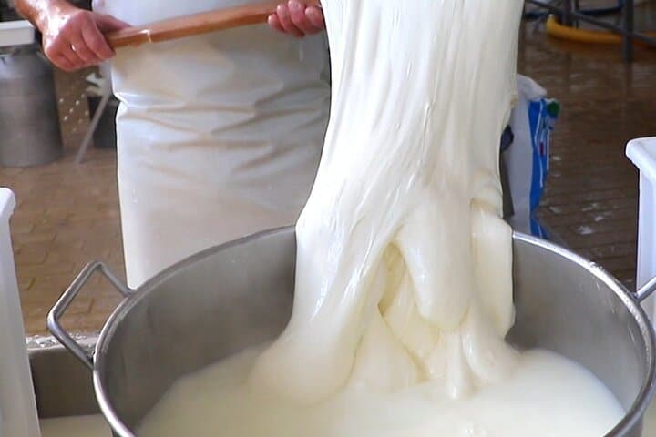 Amalfi Coast Deluxe Mozzarella, Olive Oil & Wine Tasting Tour photo 3
