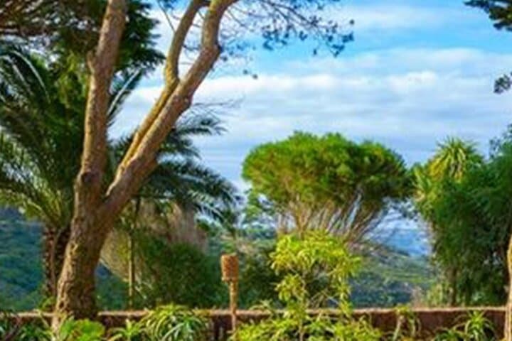 Coastal Brunch & Colares Wine Tasting: Half-Day from Cascais to Cabo da Roca photo 2