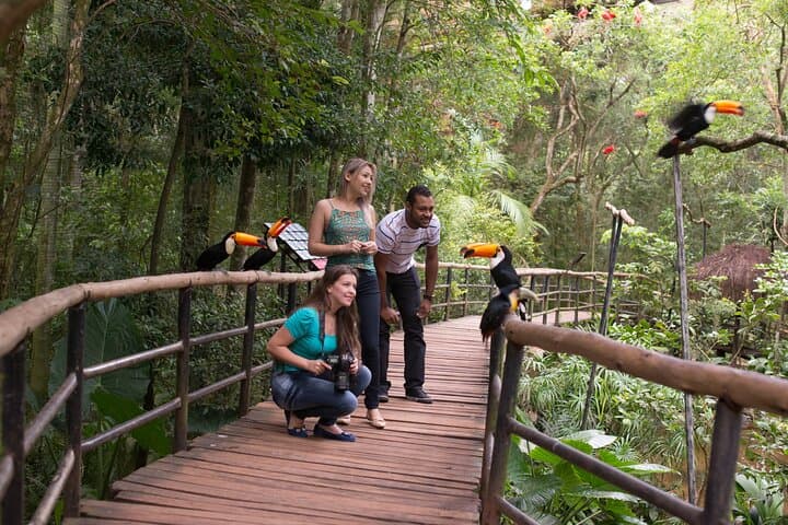 Full-Day Iguazu Falls Experience: Park, Boat Safari & 10-Min Panoramic Flight photo 2