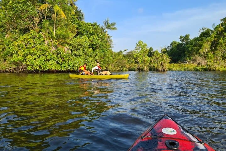 Kayak the Preguiças River: 2-Day Lençóis Maranhenses Descent from Barreirinhas to Atins photo 4