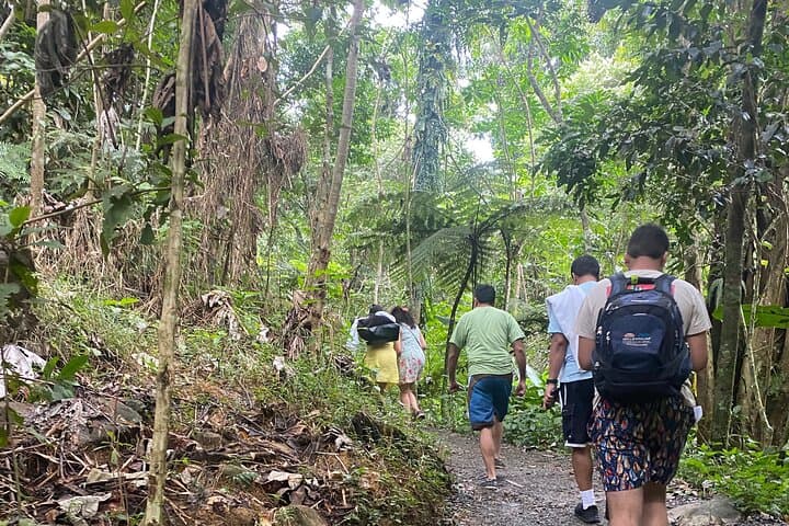 El Yunque Rainforest Hiking Tour from San Juan — Yokahu Tower, Trails & Natural Pools photo 2