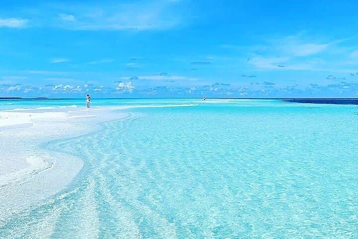 Mnemba Island Half-Day Private Snorkeling Adventure — Best Snorkel Spots Near Matemwe photo 5