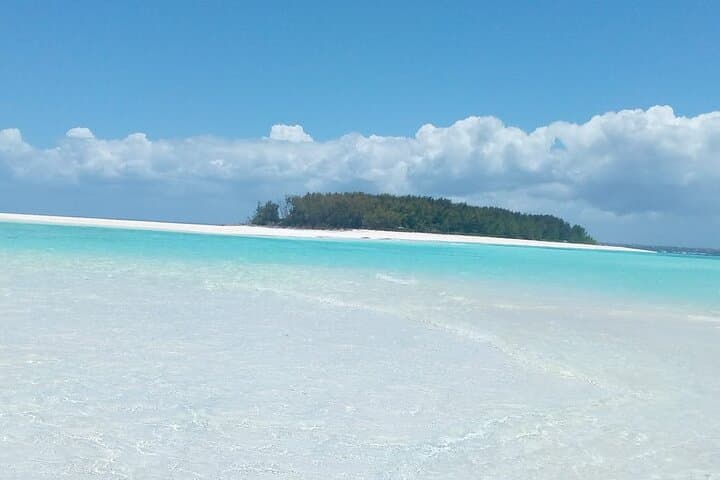 Mnemba Island Half-Day Private Snorkeling Adventure — Best Snorkel Spots Near Matemwe