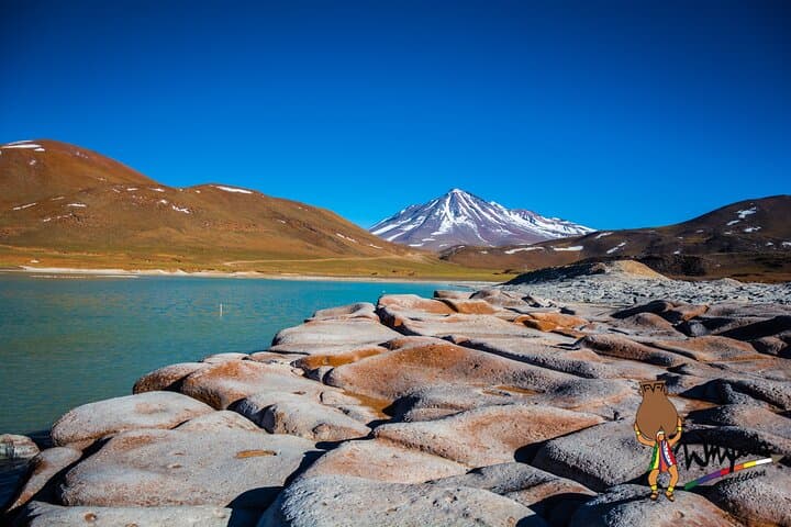 Piedras Rojas & Altiplanic Lagoons: Full-Day Tour from San Pedro de Atacama photo 1