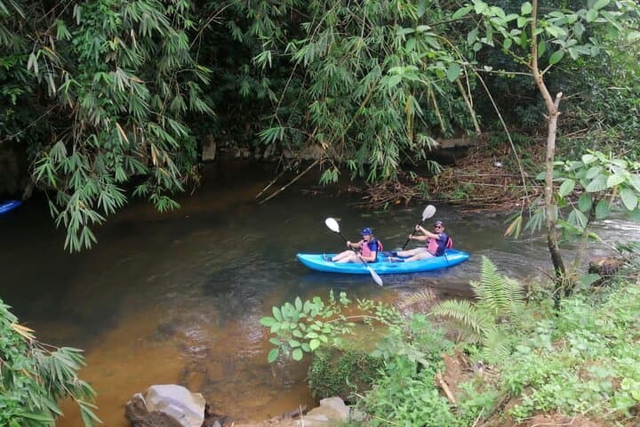 Kuching Rainforest Kayak and Semenggoh Orangutan Encounter
